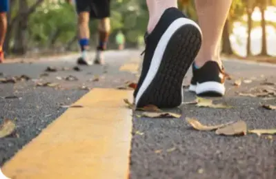 walking path