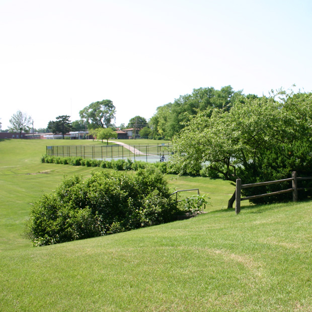 Green Slopes Park sled hill