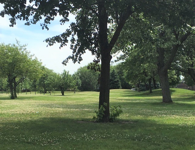 Kingsbridge Arboretum Park