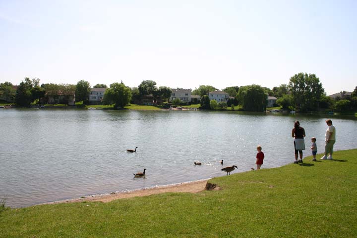 Lake Terramere Park pond