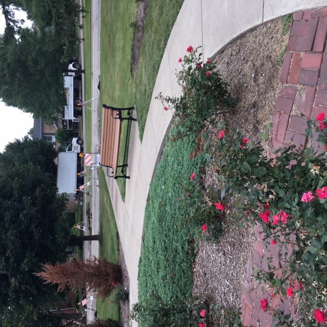 Rose Garden