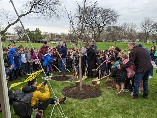 Arbor day tree planting